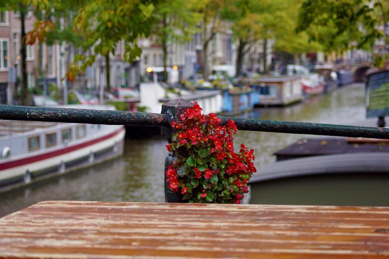 Free stock image of Red flowers on the bridge railing created by Hans Zeilstra