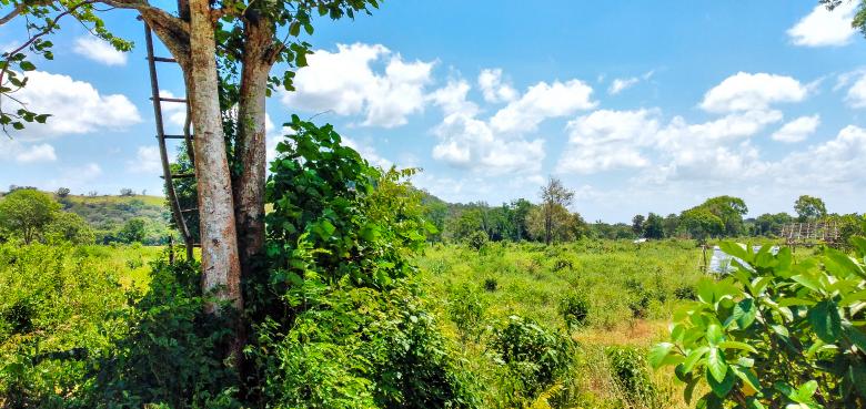 Free stock image of Meadow and blue sky created by mohamed aslam