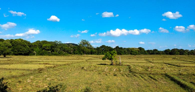 Free stock image of Landscape with ruins and tree created by mohamed aslam