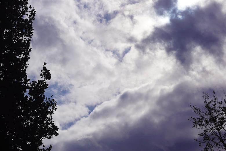 Free stock image of Cloudy sky and trees created by Hans Zeilstra