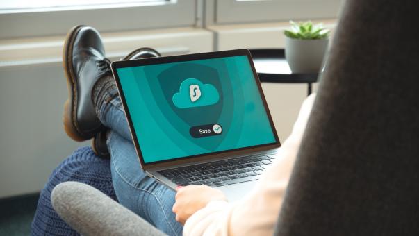 Comfortably working on a laptop from home - Free Stock Photo