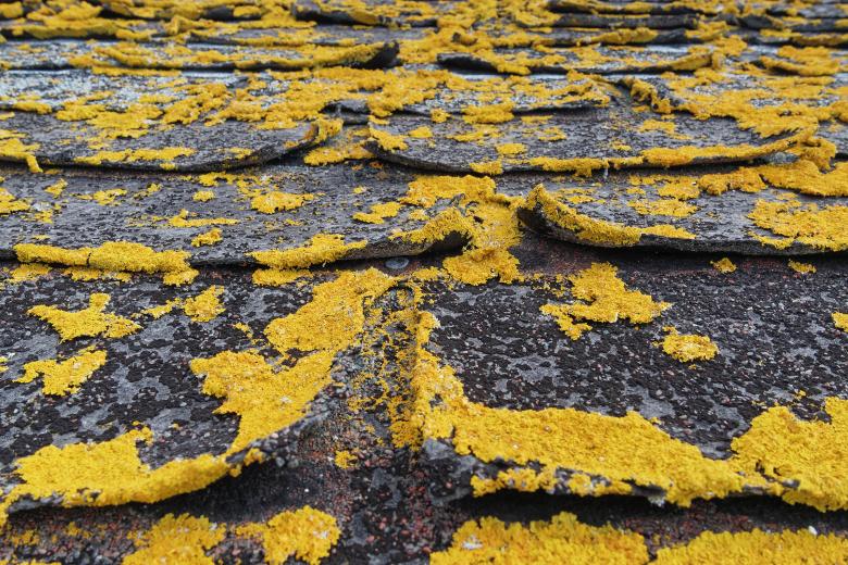 Free stock image of Old Roof shingles created by Geoffrey Whiteway
