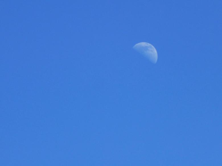 Free stock image of Moon in Blue Sky created by Dias Angela