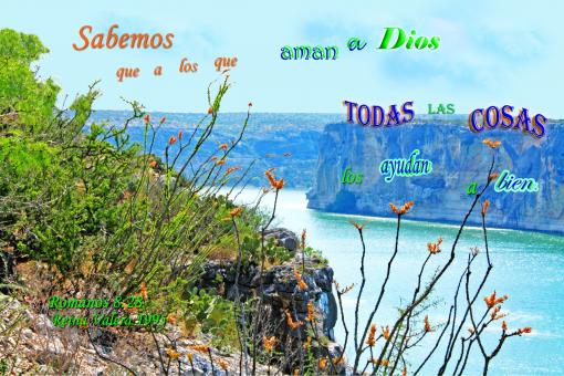 Free Stock Photo of Todas las Cosas a Bien