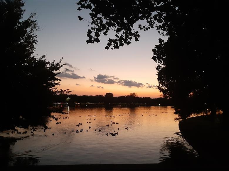 Free stock image of Lafierna Park Sunset created by Kamari Grace