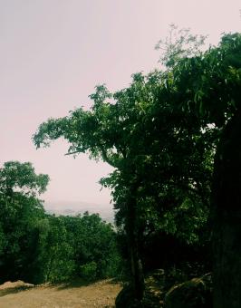 Beautiful landscapes of Africa - Free Stock Photo