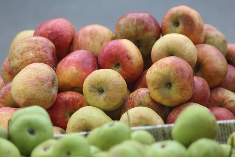 Free stock image of Red Apples at the Market created by Moon  Bhuyan