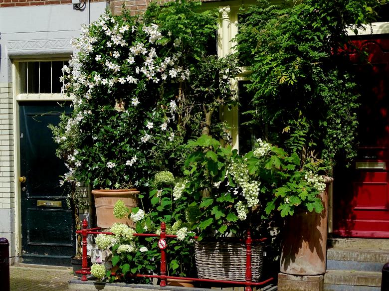Free stock image of Flower facade garden created by Hans Zeilstra