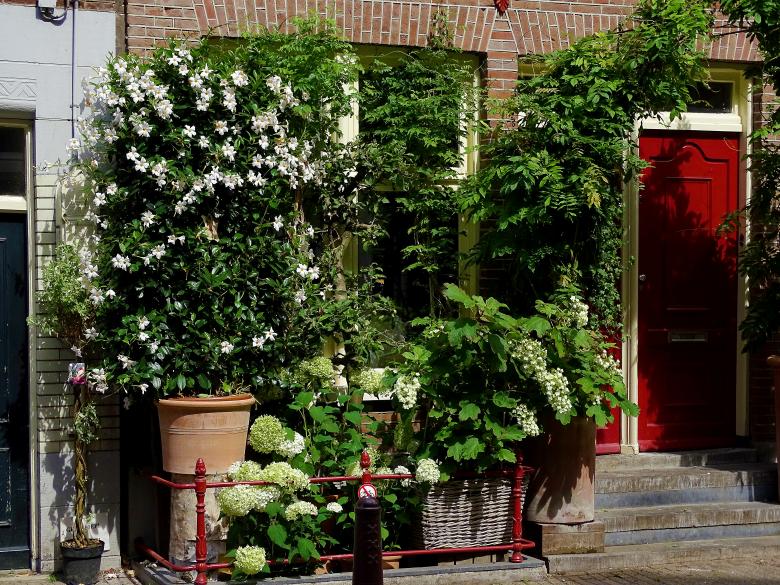 Free stock image of Building Flower Facade created by Hans Zeilstra