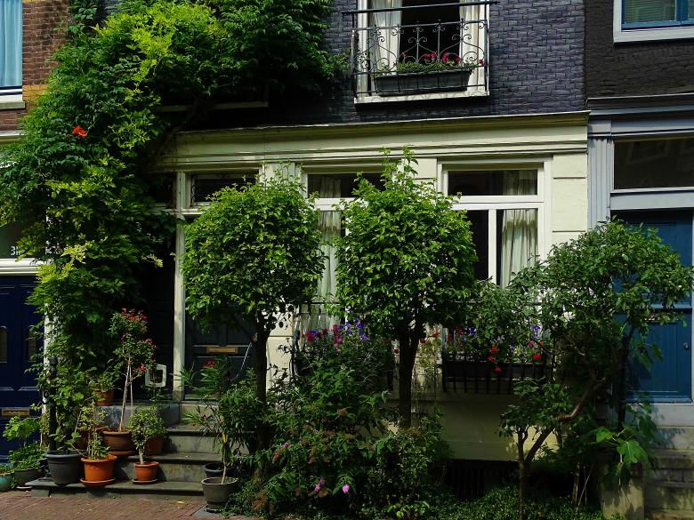 Free stock image of Tree Facade - Building Front created by Hans Zeilstra