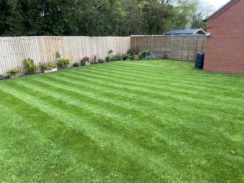 Free stock image of Green Lawn created by Nick Dyke