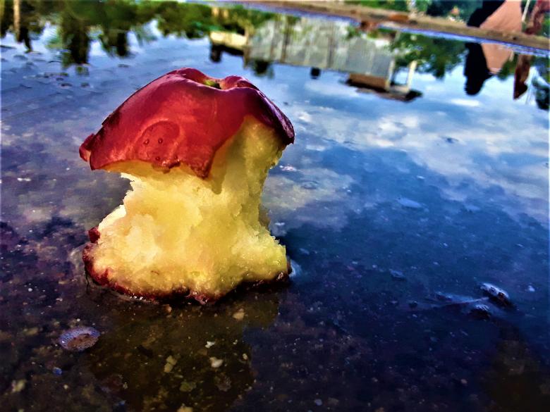 Free stock image of Eaten Jambakka or Roseapple created by Infinity Focus