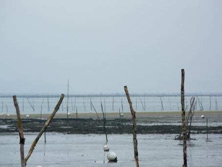 Arcachon Bay - Free Stock Photo