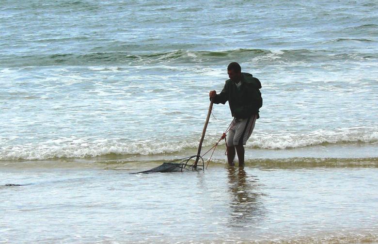 Free stock image of Seashell fisherman created by Dias Angela