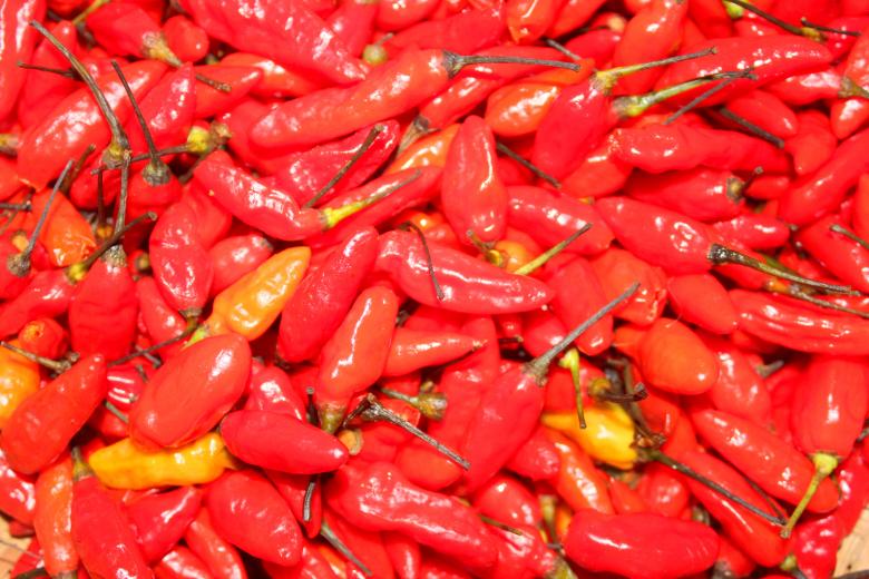 Free stock image of Red chili peppers background created by Moon  Bhuyan