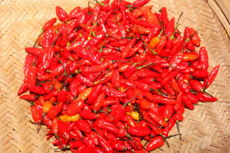Free stock image of Many small red chili peppers created by Moon  Bhuyan