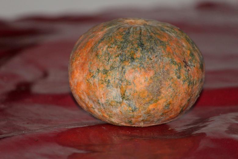 Free stock image of Green and Orange Pumpkin created by Moon  Bhuyan