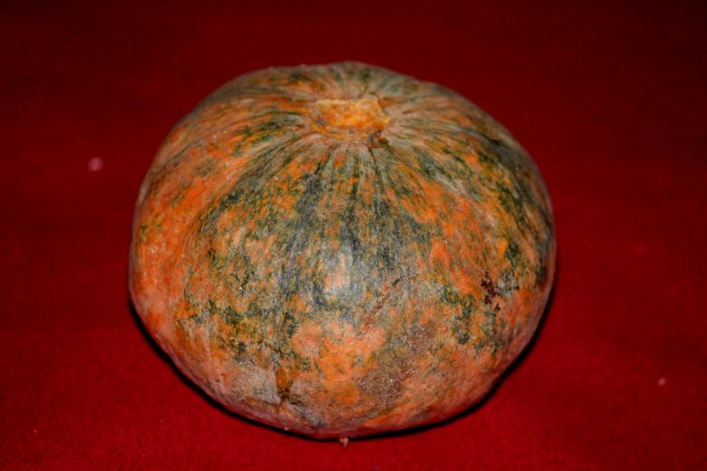 Free stock image of Pumpkin on Red Background created by Moon  Bhuyan