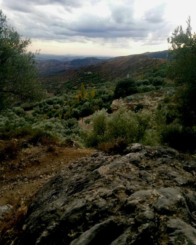 Free stock image of Wonderful Moroccan nature after the rain created by lazrak