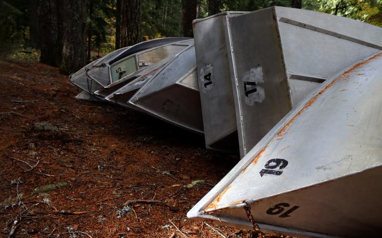 Free stock image of A row of row boats created by Brian Walker