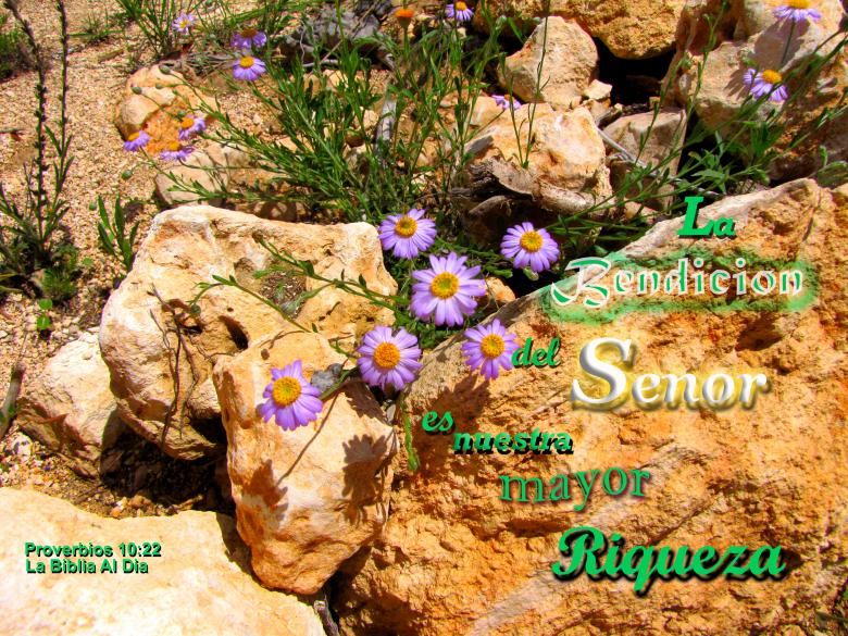 Free stock image of La Bendicion del Senor created by DFNatureAwed
