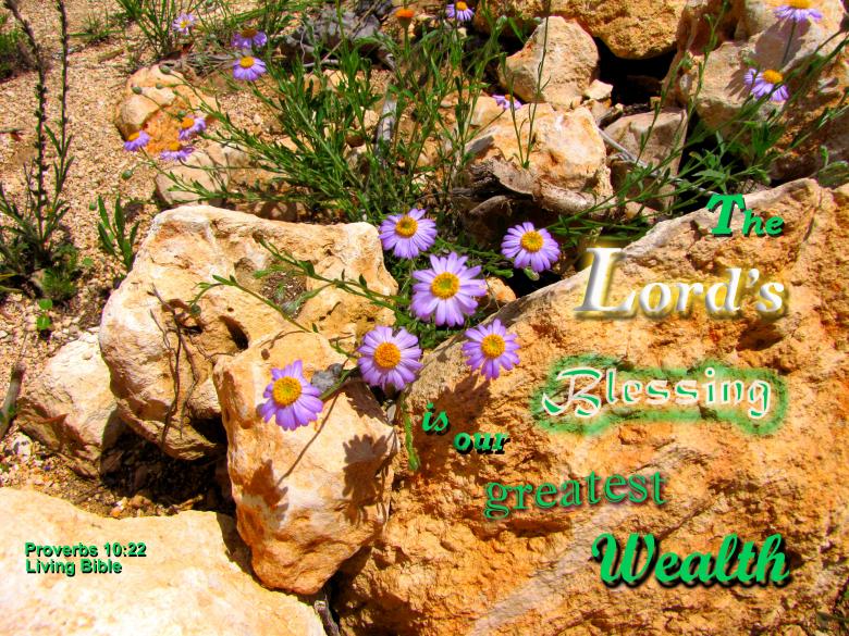 Free stock image of The Lord's Blessing created by DFNatureAwed