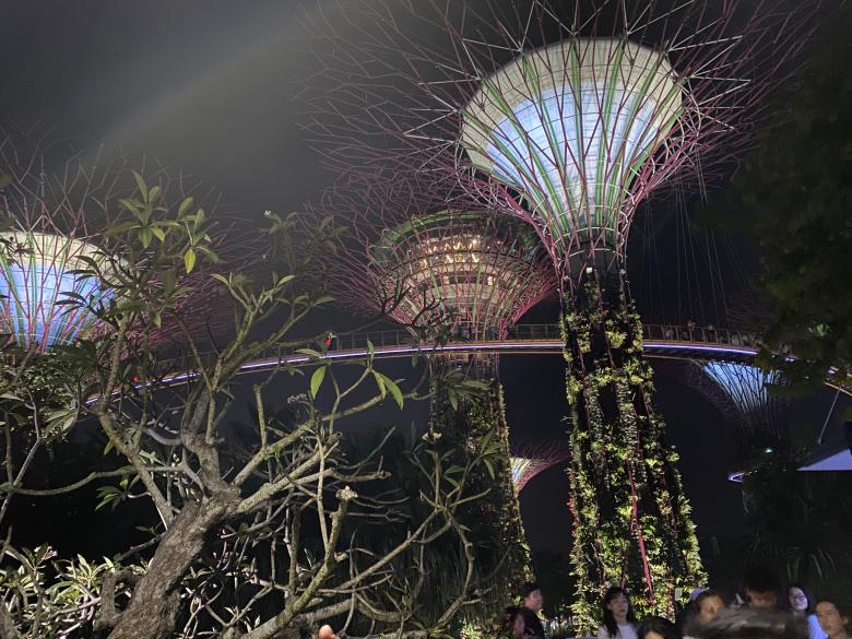 Free stock image of Night walk through the Garden created by SK