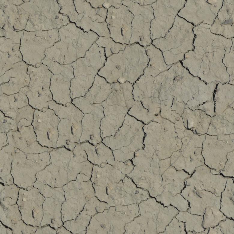 Free stock image of Dry Cracked Soil Texture created by Nikita Pavlov