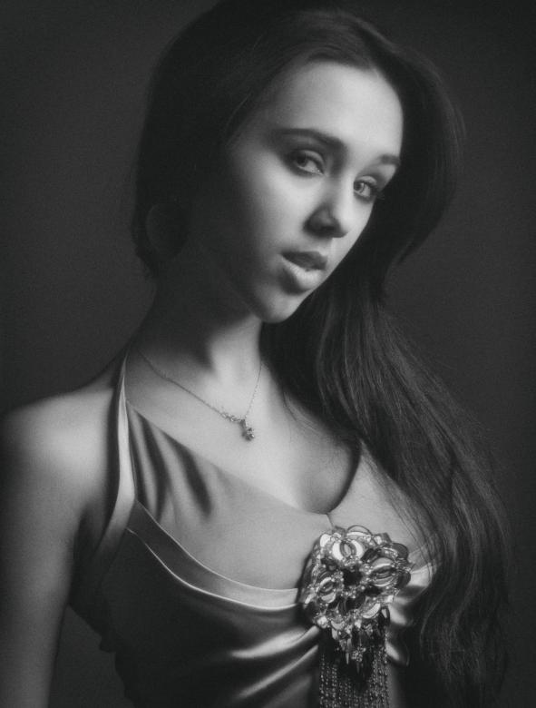 Free stock image of Beautiful Model in Evening Dress - Portrait created by Alexander Krivitskiy