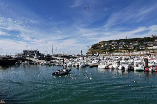 Harbor boats - Free Stock Photo