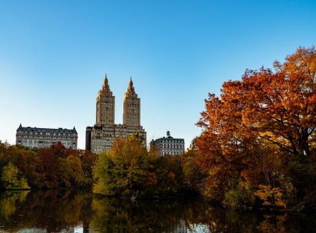 Central Park Foliage