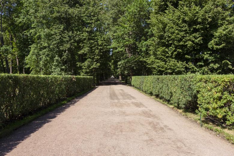 Free stock image of  Walking Path in Garden created by Geoffrey Whiteway