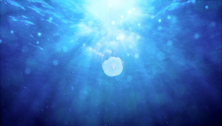 Free stock image of Jellyfish Swimming Underwater created by Jack Moreh