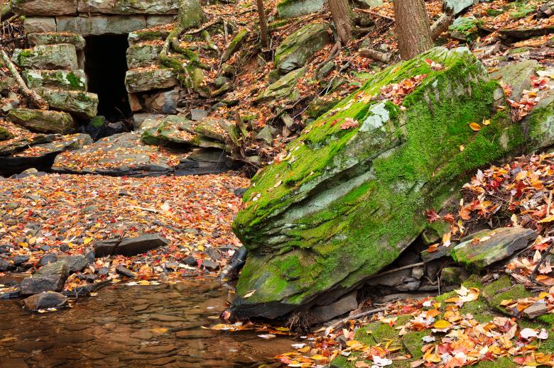 Free stock image of Autumn Goblin Lair created by Nicolas Raymond