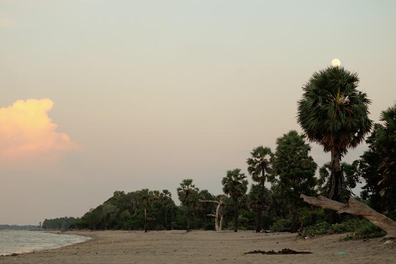 Free stock image of Beach Landscape - Daylight - Relaxation created by mohamed aslam