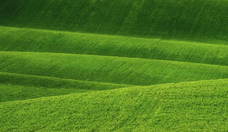 Free stock image of  Rolling Hills - Grassy Hills - Agriculture created by Jack Moreh