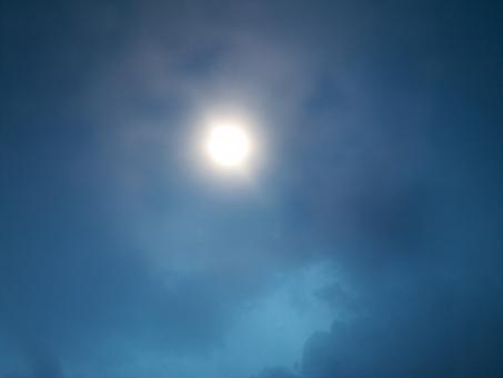 Sun Magic - Free Stock Photo