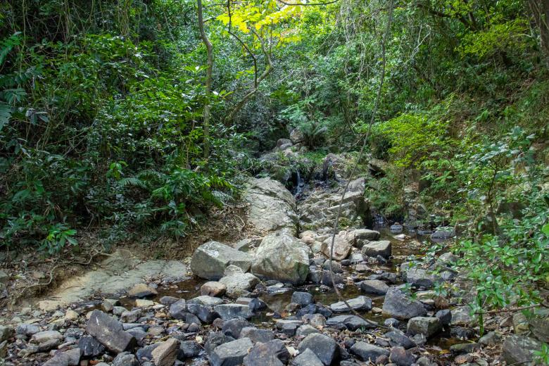 Free stock image of small stream with rocks and trees created by Ben Wong