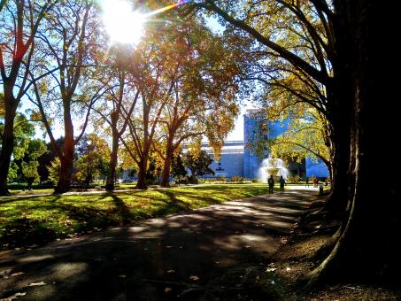 Park In Melbourne