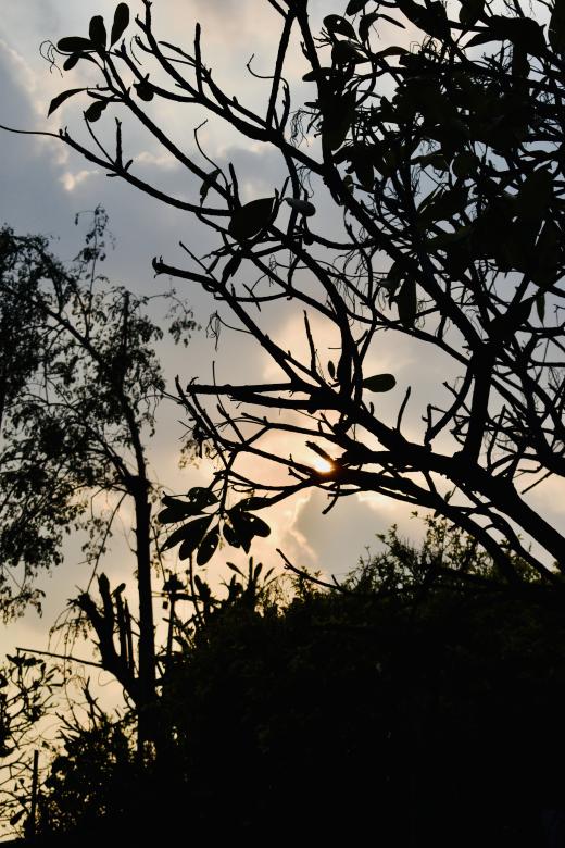 Free stock image of Beauty of Nature created by Vaibhav Dhar