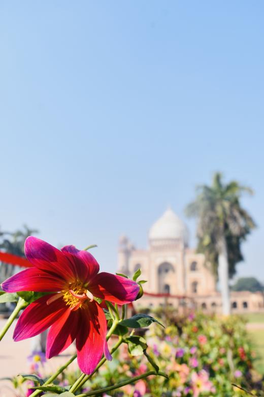 Free stock image of Safdarjung Tomb created by Vaibhav Dhar
