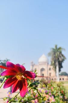 Free Stock Photo of Safdarjung Tomb
