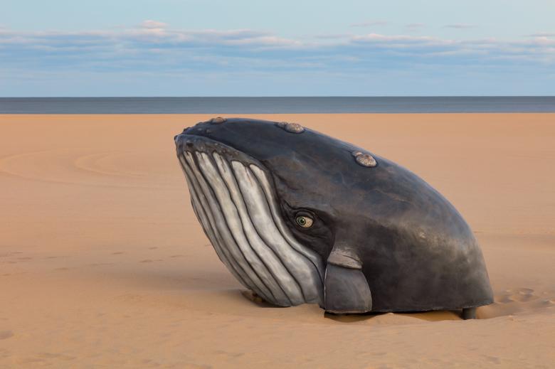 Free stock image of Ocean City Sand Whale created by Nicolas Raymond