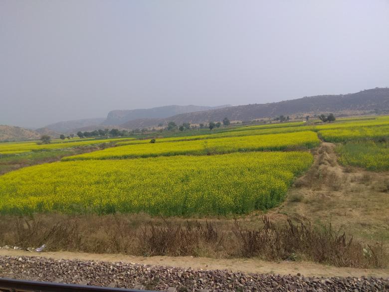 Free stock image of Greenfield created by Ashutosh Mishra