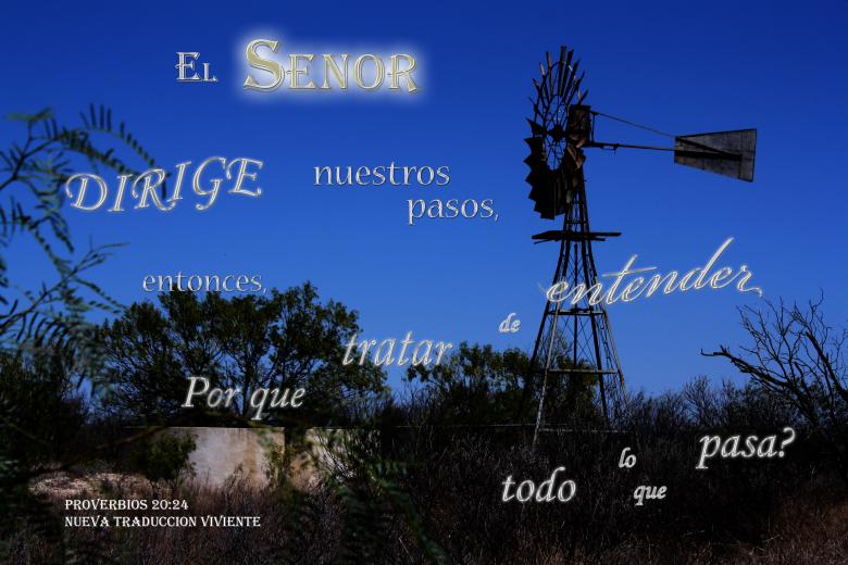 Free stock image of El Senor Dirige Nuestros Pasos created by DFNatureAwed