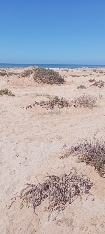 Free stock image of Beach created by snaike