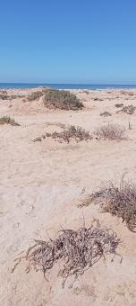 Beach - Free Stock Photo