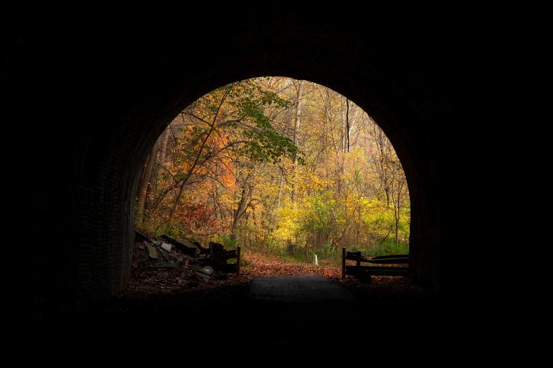 Free stock image of Autumn Silhouette Tunnel created by Nicolas Raymond