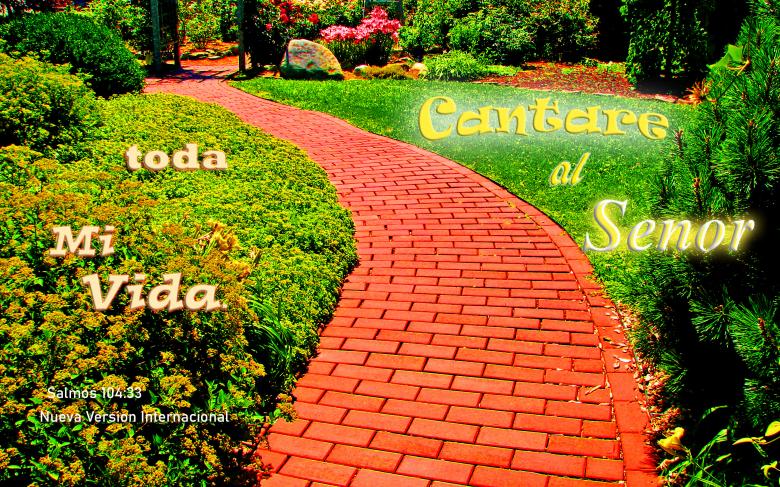 Free stock image of Cantare al Senor created by DFNatureAwed