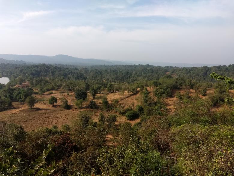 Free stock image of Forest View Clicked from train  created by Danny Lawrance Nadar